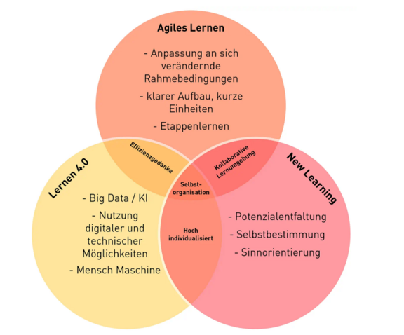 Agiles_Lernen_Abb.PNG